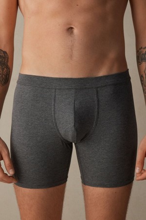 Boxer Intimissimi Long in Stretch Supima® Bawełniane Męskie Jasny Szare | PL3427AP