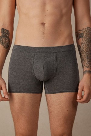 Boxer Intimissimi Natural Fresh Supima® Bawełniane Męskie Jasny Szare | PL3393MA