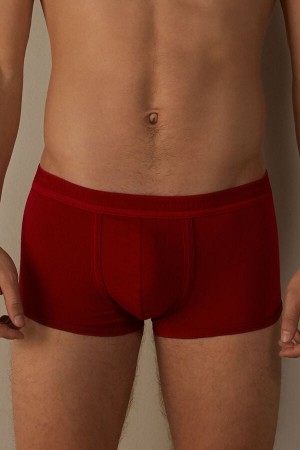 Boxer Intimissimi Stretch Supima® Bawełniane Shorts with Logo Detail Męskie Czerwone Czerwone | PL3445MA