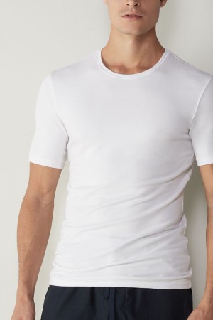 Koszulki Intimissimi Krótkie-Sleeve Modal-Cashmere Męskie Białe | PL3062EX
