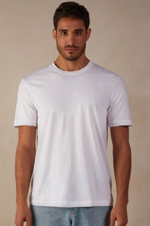 Koszulki Intimissimi Regular Fit in Extrafine Supima® Bawełniane Męskie Białe | PL3026SO