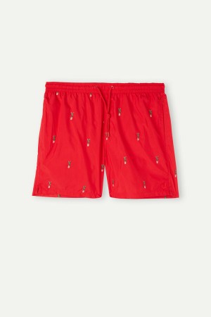 Kąpielówki Intimissimi Embroidered Cactus Męskie Czerwone Zielone | PL3308FM
