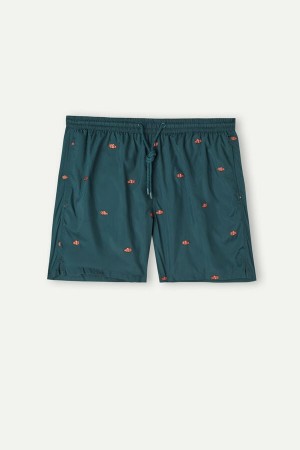 Kąpielówki Intimissimi Embroidered Clownfish Męskie Ciemny Zielone | PL3315UT