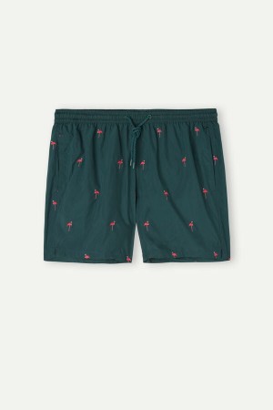 Kąpielówki Intimissimi Embroidered Flamingo Męskie Ciemny Zielone | PL3313OR