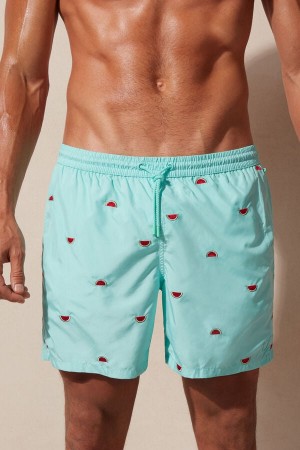 Kąpielówki Intimissimi Embroidered Watermelon Męskie Głęboka Turkusowe Zielone | PL3297NB
