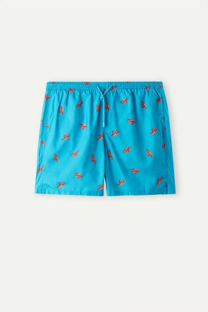 Kąpielówki Intimissimi Lobster Print Męskie Paw Niebieskie | PL3301XF