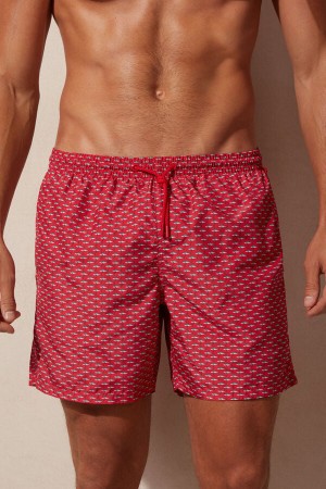 Kąpielówki Intimissimi Micro Shark Print Męskie Czerwone Ciemny Szare | PL3312PQ