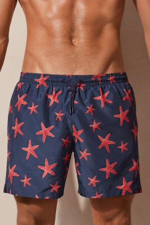 Kąpielówki Intimissimi Starfish Print Męskie Niebieskie | PL3294WY