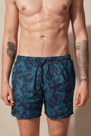 Kąpielówki Intimissimi Turtle Print Męskie Niebieskie | PL3307GL